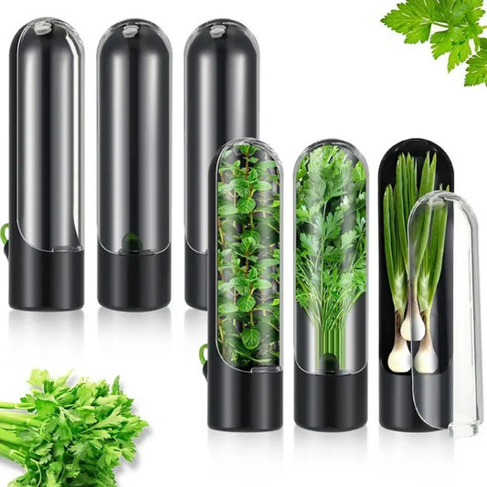Recipiente de armazenamento Herb Saver, recipiente para ervas frescas, baunilha, vegetais, garrafa de preservação fresca para geladeira.